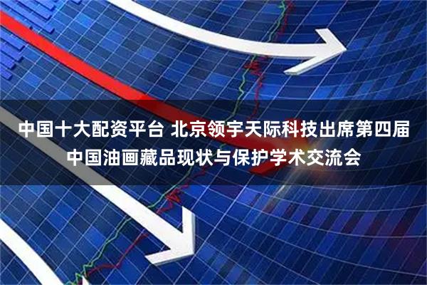 中国十大配资平台 北京领宇天际科技出席第四届中国油画藏品现状与保护学术交流会